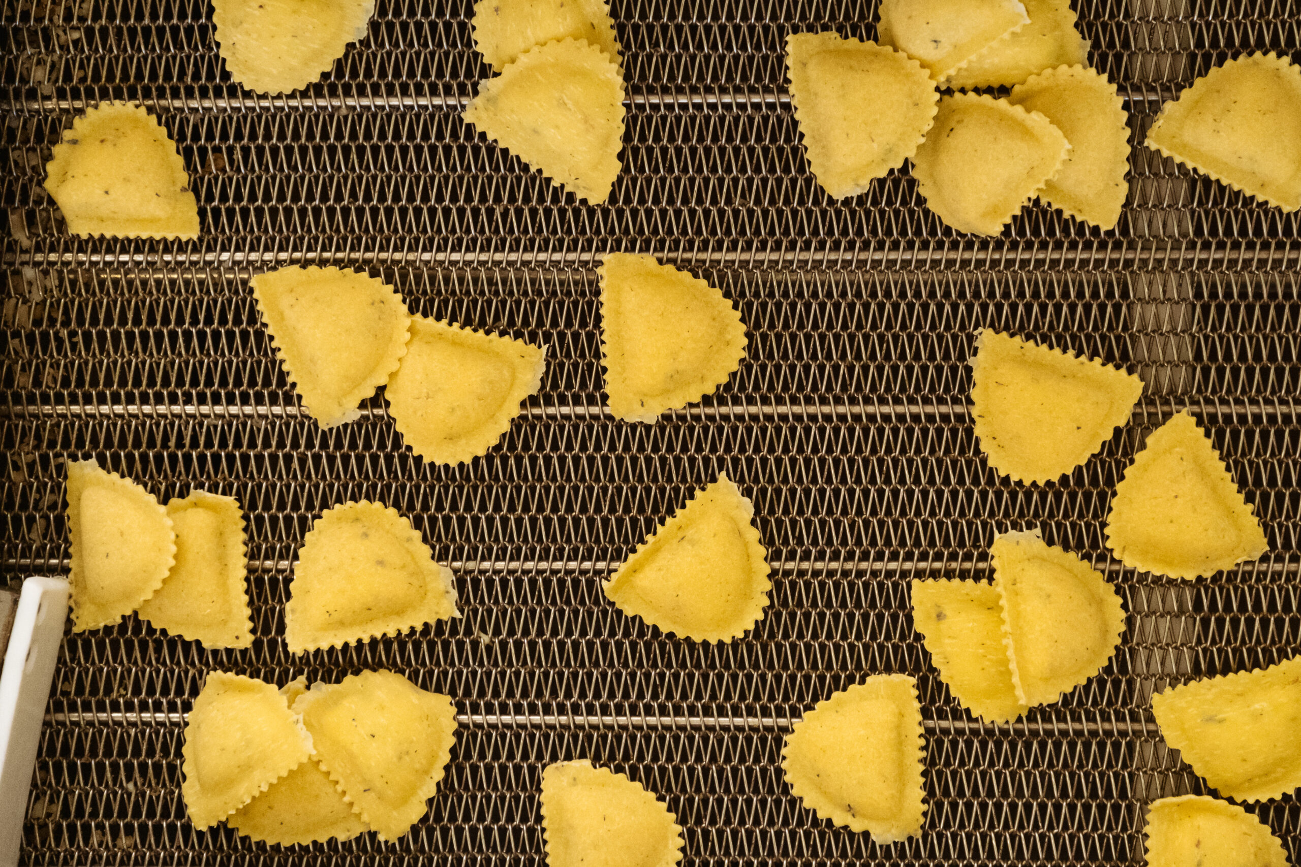 Pasta fresca surgelata Sabatelli Food